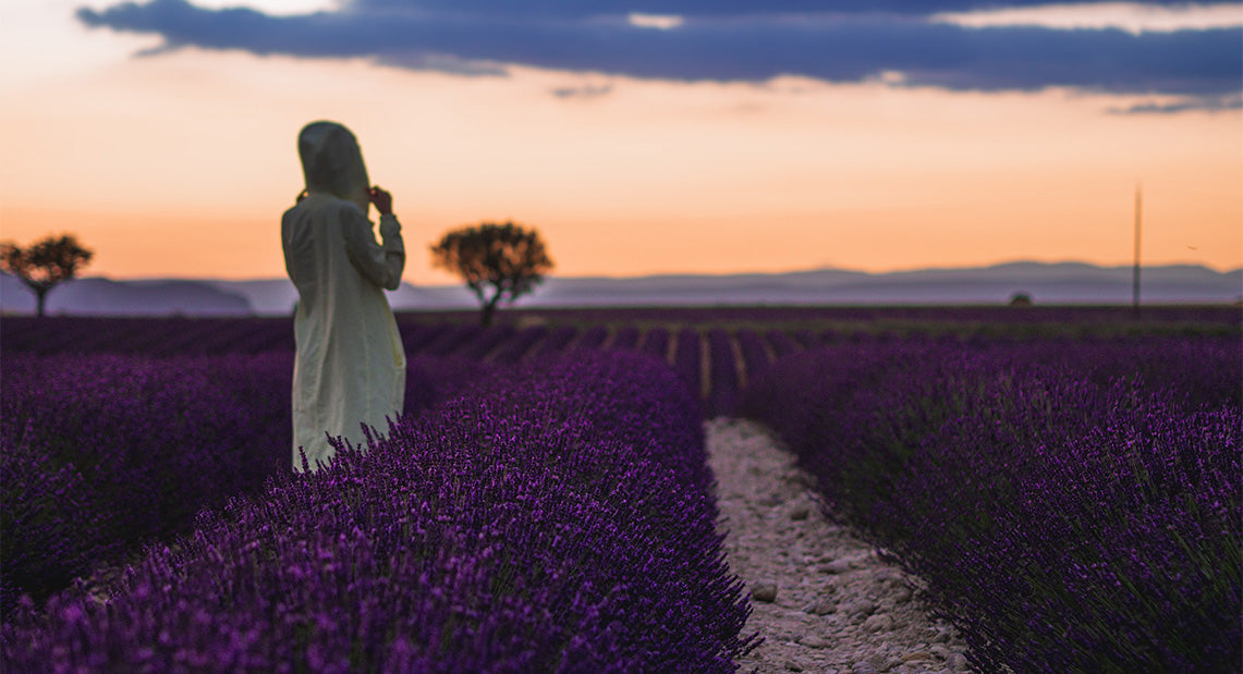 Gedankenreise - Provence